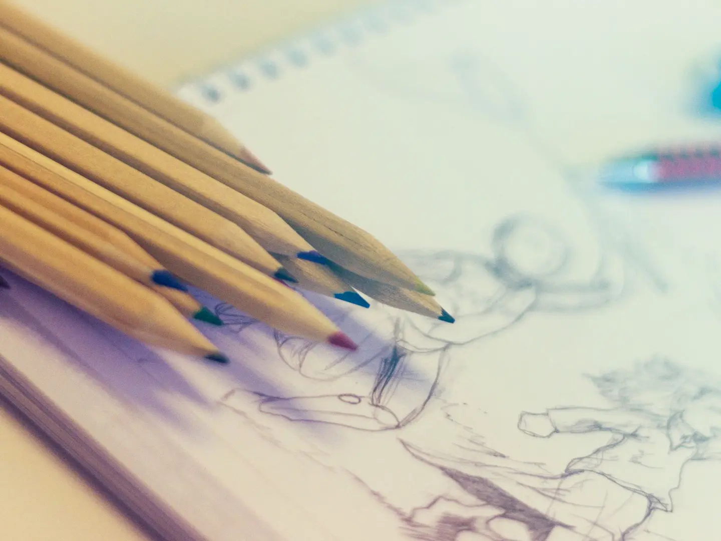Several illustration packs grouped into a bundle
