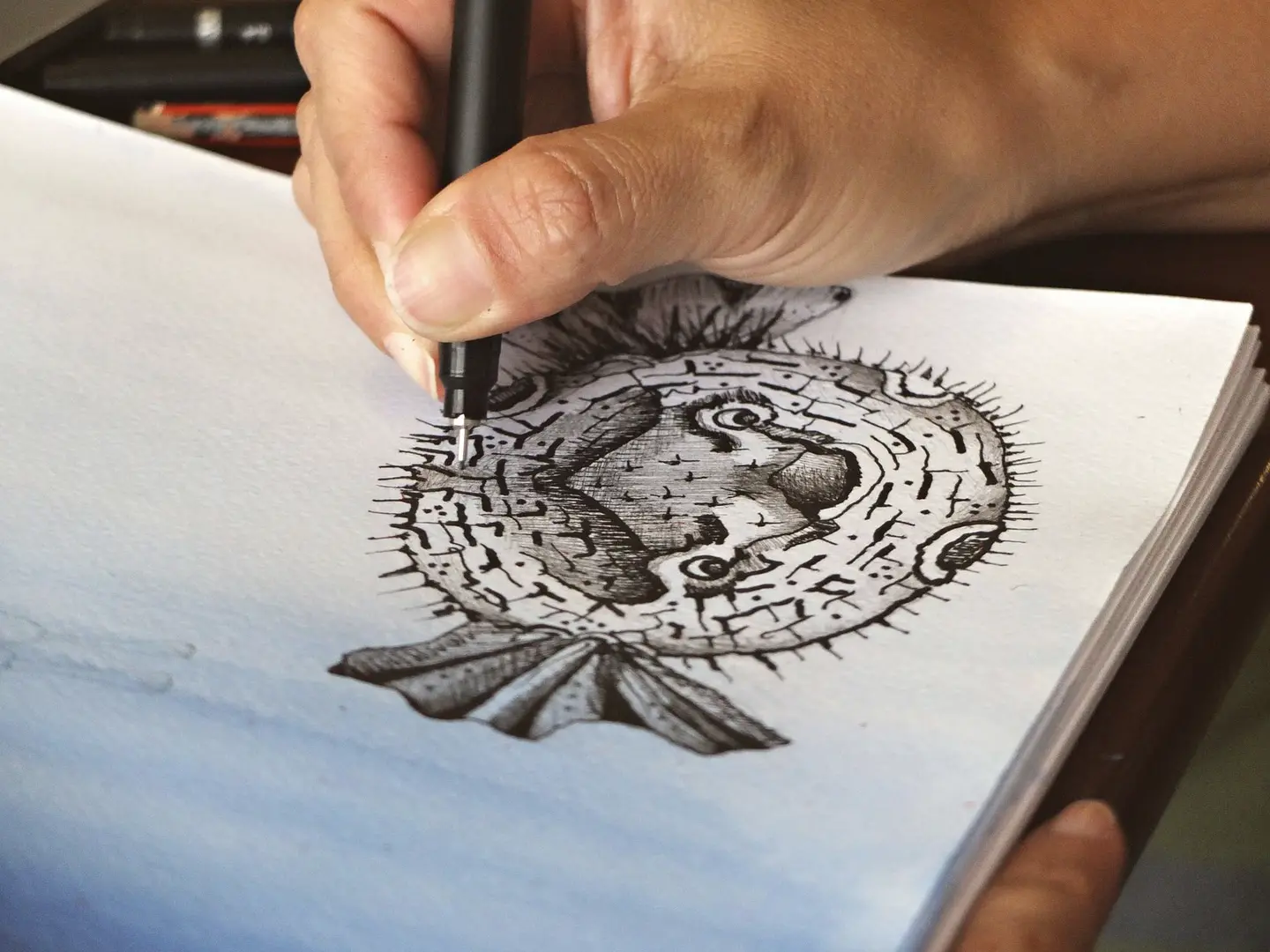 Illustration sample